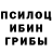 Псилоцибиновые грибы мухоморы Aliksandr Muhin