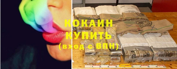 индика Дмитров