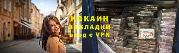 соль ск Гусев