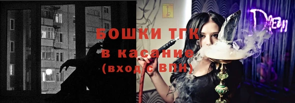 индика Дмитров