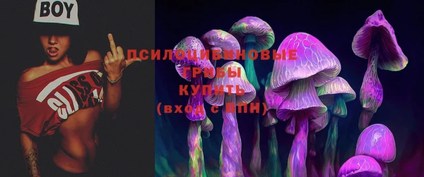 МДМА Дмитриев