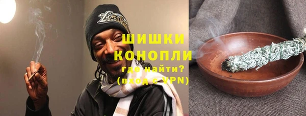 индика Дмитров