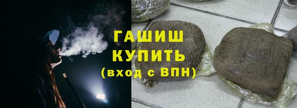 индика Дмитров