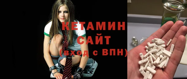 индика Дмитров
