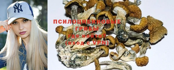 ешки Гусь-Хрустальный