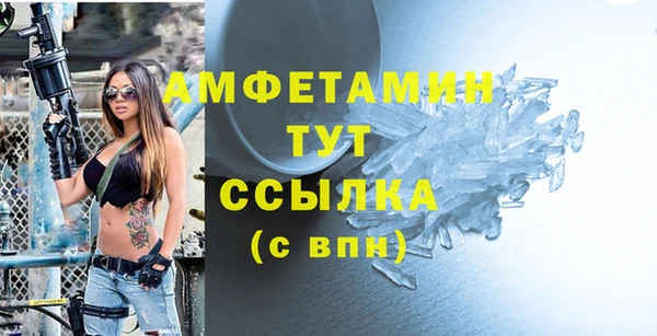 индика Дмитров