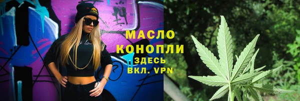 индика Дмитров