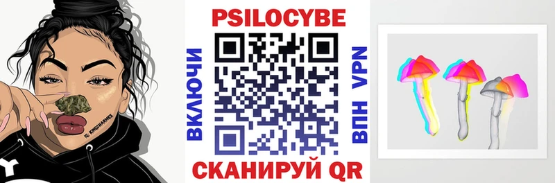 Купить  Рошаль  Псилоцибиновые грибы Magic Shrooms 